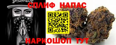 Альфа ПВП Обь