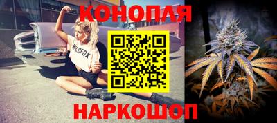 Альфа ПВП Обь