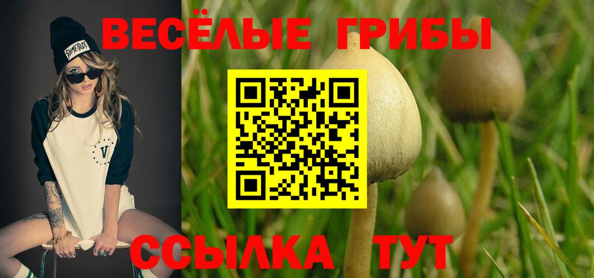 Псилоцибиновые грибы мицелий  Псилоцибиновые грибы Psilocybine cubensis  Вход с VPN  Сегежа 